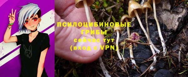 ALPHA PVP Балабаново