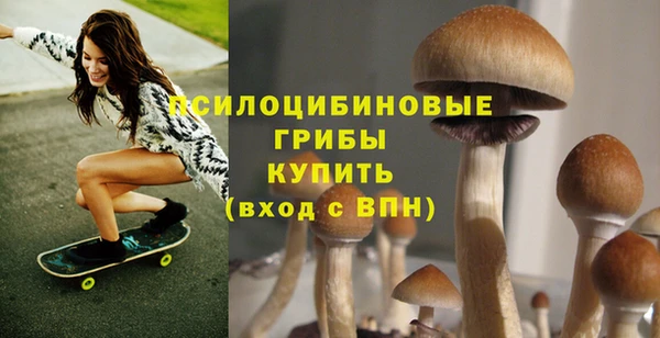 альфа пвп Няндома