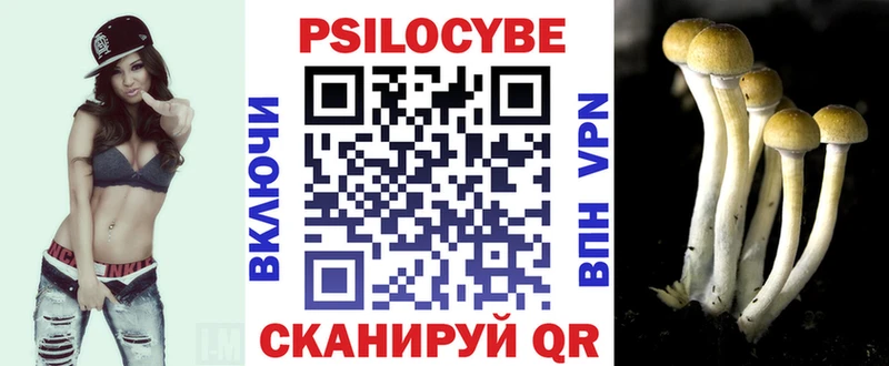 Псилоцибиновые грибы мухоморы  KRAKEN сайт  Кумертау  где купить наркоту 